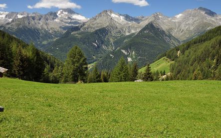 Auf das Hochfeld