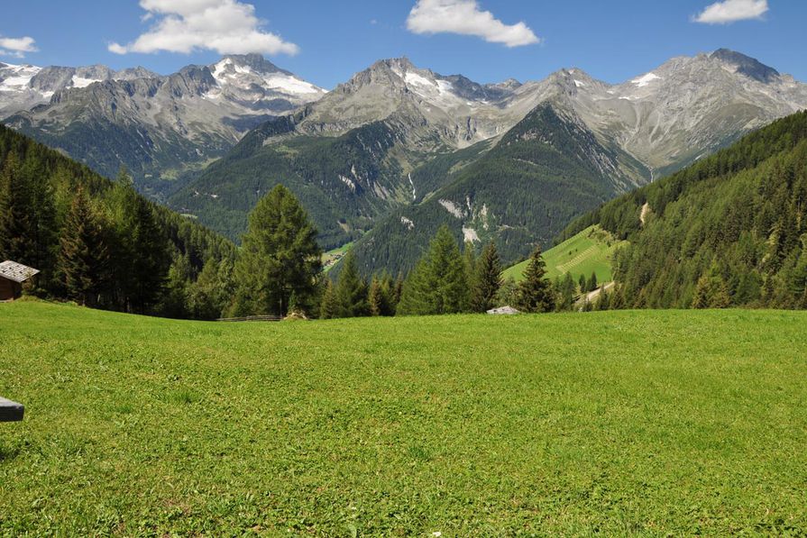 Auf das Hochfeld